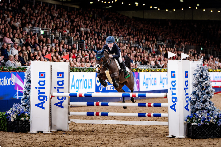 a person on a horse jumping a hurdle