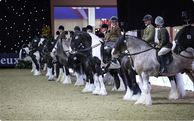 The London International Horse Show 2026 photo